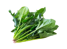 ほうれん草の写真